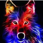 Felix Jansen - @jansen1857 - Instagram