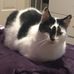 Felix Jenkins - Facebook