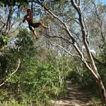 Felix Kasper - @flix_kasper - Instagram