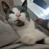 Felix og Kasper - @kasper_and_felix - TikTok