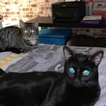 Kasper_Lola_Felix - @kasper_lola_felix - Instagram