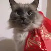 KasperFelix - @kasperfelix - TikTok
