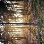Felixkirk - @trixi410 - Instagram