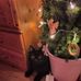 Felix Knapp - Facebook