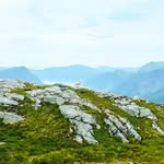 Felix Knapp - @felix.vonbergen - Instagram