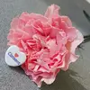 Felix K - @felix.knot - TikTok
