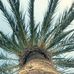 Felix Kramer - Facebook