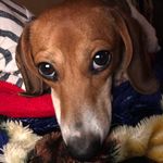 Felix Ramirez - @felixlongbody - Instagram