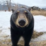 @felixlongg - Instagram