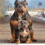 Felix Macdonald - @felix.macdonald.56 - Instagram