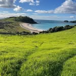 Felix Macdonald - @felix_macdonald68 - Instagram