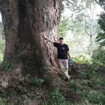 Felix Villalobos Mayorga - @felixvillalobosmayo - Instagram