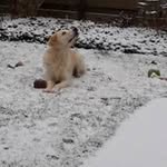 Felix Meekes - @felixmeekes - Instagram