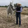 Felix Menchaca - @felixmenchaca1 - TikTok