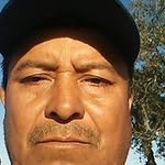 Felix Negrete - @negrete2924 - Instagram