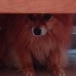 Felix obrien - @felix_obrien23422 - Instagram