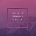 Felix Ocasio - @el.de.pr - Instagram