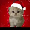 Felix Olivera - @felix.olivera345 - TikTok