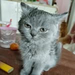 Felix Pang - @pby080808 - Instagram