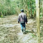 Felix Polanco - @polanco8914 - Instagram