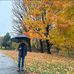 Felix Raphael Fjy - Facebook