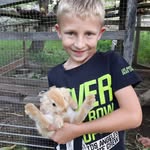 Felix Renner - @fe.11.lix - Instagram