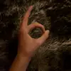 Felix Renner - @217felix - TikTok
