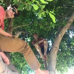 Peh - @felixrice_ - Instagram