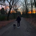 Felix - @felix.ritter_ - Instagram