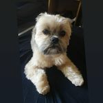 Felix Ritter - @felixritter6 - Instagram
