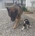 Felix Robert - Facebook