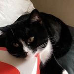 Felix Robertson - @robertson.felix - Instagram