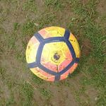 Felix Robertson - @felixcrobertson - Instagram