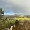 felixroe1 - @the11turkeys - TikTok