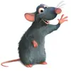 Remy Rat - @felixromano - TikTok