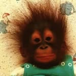 Felix Ruddle - @felix.ruddle - Instagram