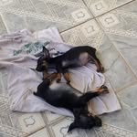 Felix Ryan - @felix.ryan.969300 - Instagram