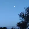 Fèlix Sáez - @ww.tiktok.comrousroxan - TikTok