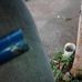 Felix Sandoval - Facebook