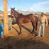 Felix Saucedo - @fsaucedo07 - TikTok