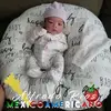 felixsaucedo555 - @felixsaucedo555 - TikTok