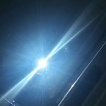felix franklin sauer - @flixbus_2.0 - Instagram