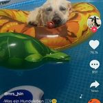 Felix Sauer - @felix.sauer.980 - Instagram