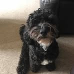 Felix Short - Facebook