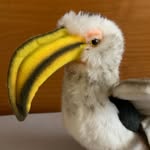 Felix Shortwing - @felixshortwing - Instagram