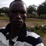 Felix Sylvester's - @felixsylvesters - Instagram