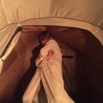 Felix Turner - @felix_turner06 - Instagram