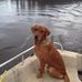 Felix Walker - Facebook