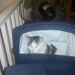 Felix Walker - @hikaruanime123 - Instagram
