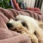 Felix Wiley - Facebook